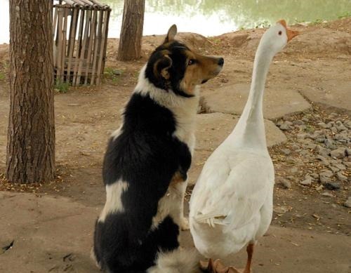 |开心笑话堂弟订婚,给了女方十五万彩礼,第三天退回五万块