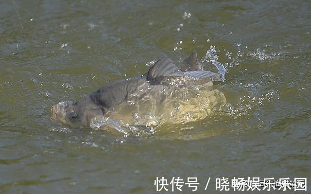 窝点|一米水深吃铅几克好？竞技高手给的公式，小改变藏着大智慧