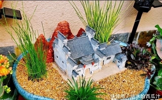 用石头盘子来养花，变成小盆景，价值能翻好几倍