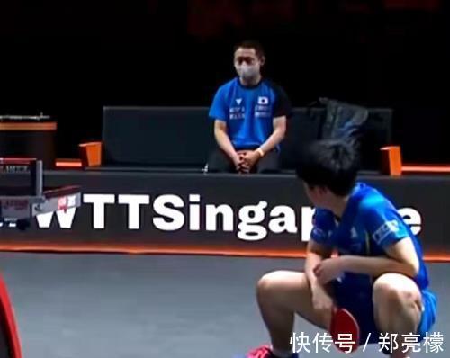 中国男乒|樊振东夺WTT世界杯男单冠军!张本智和蹲地求助,张本宇无可奈何