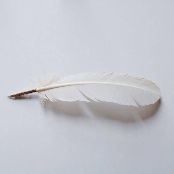 带来|丢掉手机看看纸笔带来的治愈,说不定还能为你的工作添灯加油