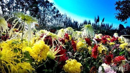  时间|跨越时间和空间的悲恸，从一首词看词帝李煜的亡国感伤