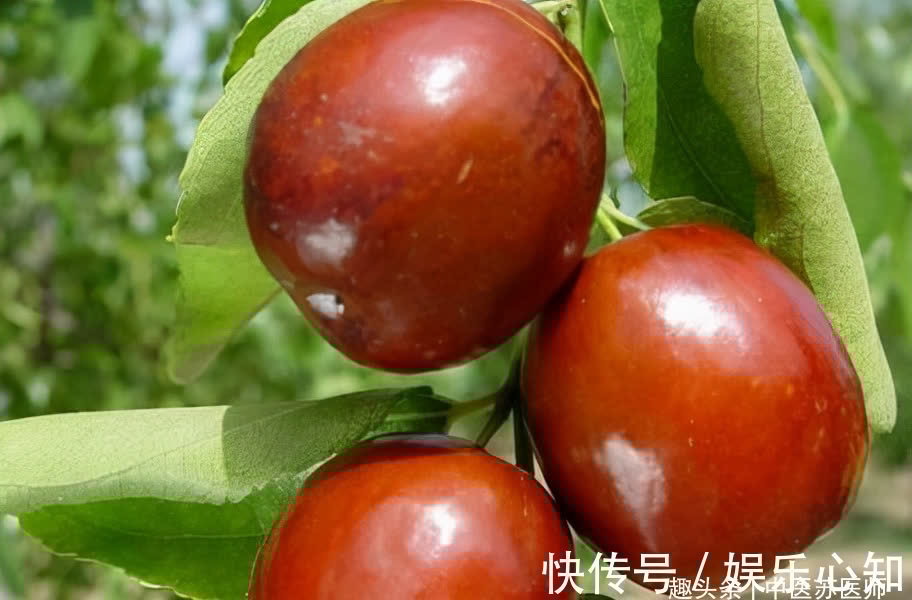 秋天|女性秋天养生，不妨常吃3种食物，滋补身体，排毒活血，越吃越好