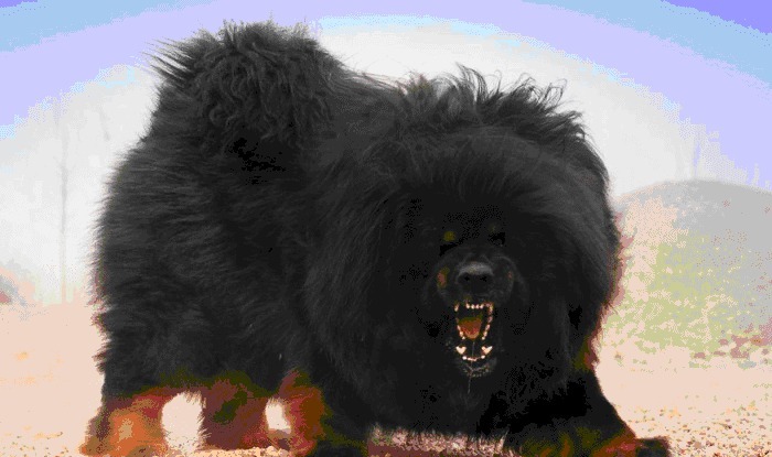 打飞|中国真正的武林高手:被慈禧封为大内飞鹰 53岁时一拳打飞霍元甲