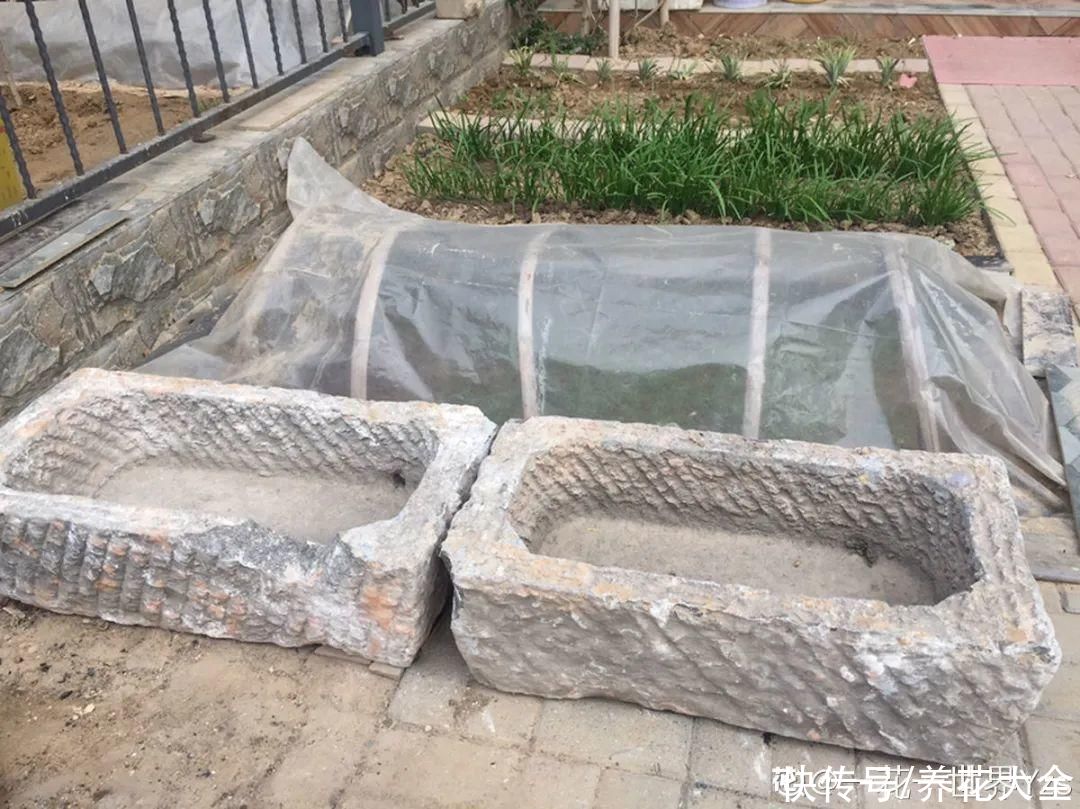 过完年，垃圾桶周围多了不少花，又要开始捡破烂儿了