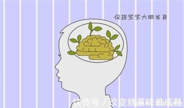 发育期|哈佛专家一生仅3次的儿童大脑“快速发育期”,家长应该这么做!