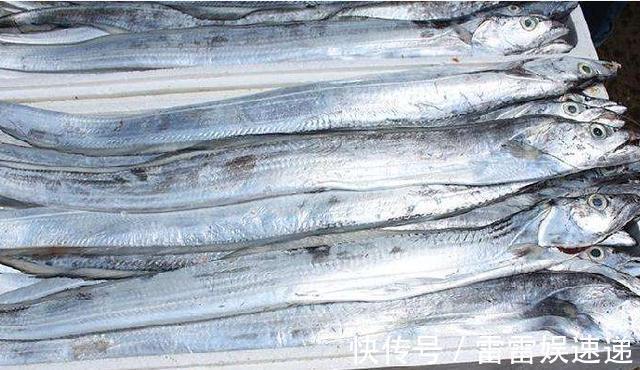 鳕鱼|宝宝吃鱼会变聪明,但吃法有讲究,这4种鱼被列入黑名单,慎吃