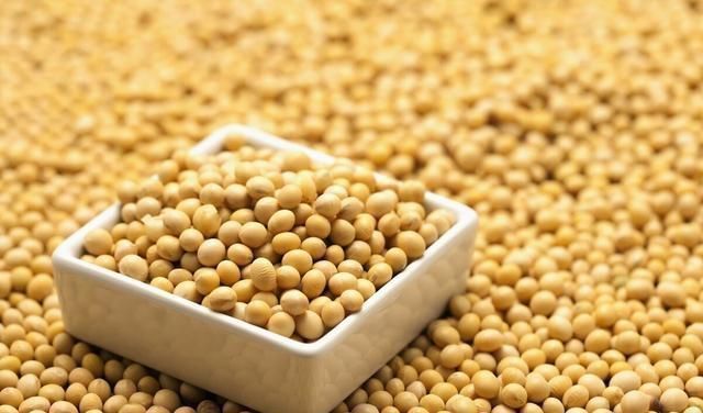 大豆|想要孩子长高吗不妨常吃3物,家家户户吃得起,孩子长高正需要