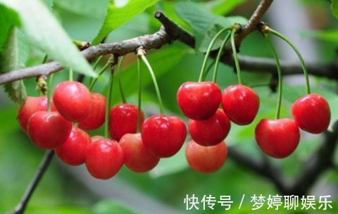 常吃|失眠不要怕，常吃此5种水果，调节睡眠精神好