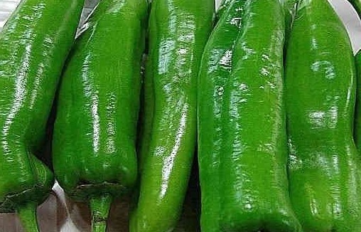 绞股蓝|医生提醒以下几种野菜,有保肝解毒、降血压、降血脂血糖等功效