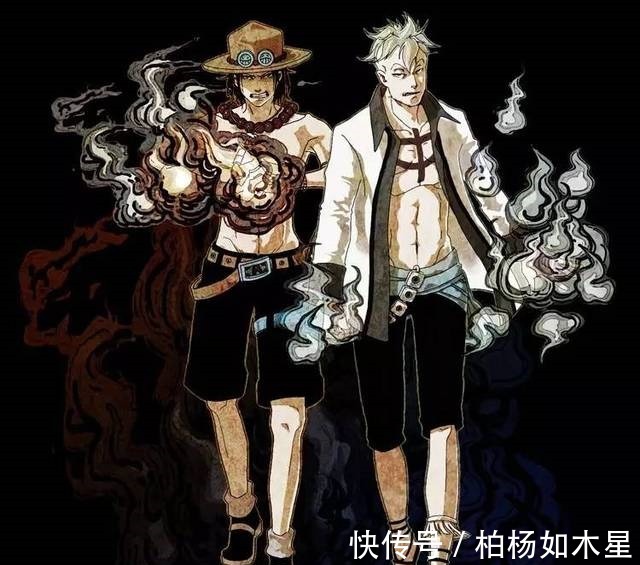 白胡子|海贼王马尔科继承白胡子的意志加入草帽团,不死鸟大显神威
