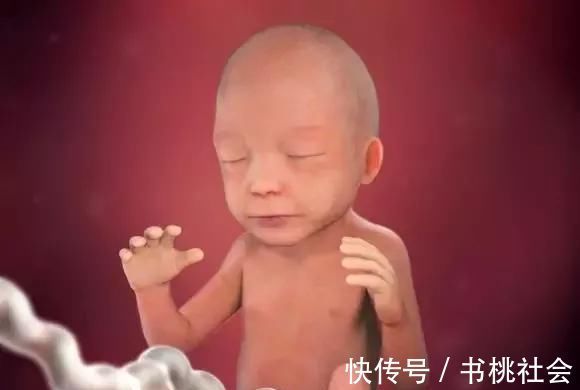 孕妈|子宫内胎儿0~40周，发育变化全过程，太神奇了！