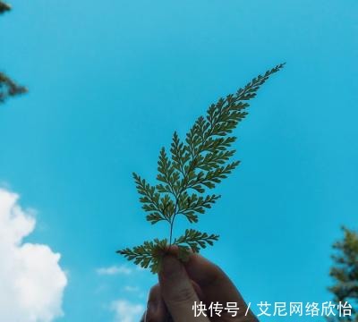 喜欢|委婉表达，谁也不喜欢被否定