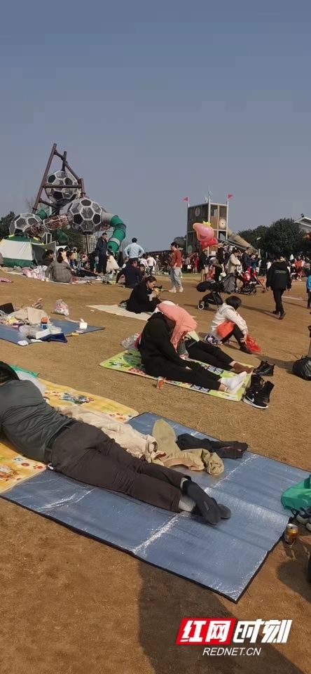 湖南人|壮观！太阳一出来，草地上就“长”满了快发霉的湖南人