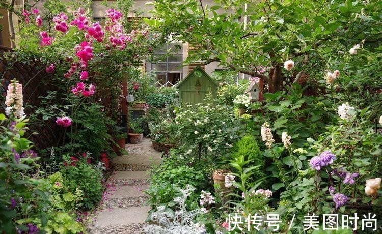 小院|荒废多年的80㎡小院,2年半时间打造成下沉式花园,太漂亮了!