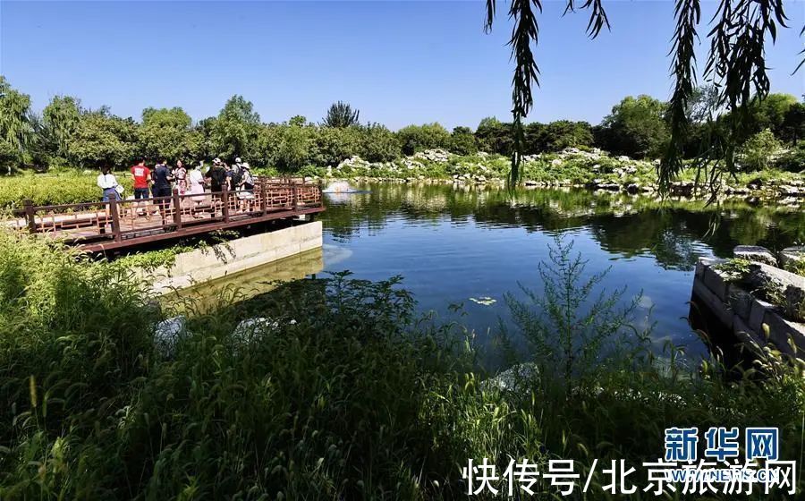 京城美景中的“双份”惊喜了解一下？|2022.2.22 | 九龙壁