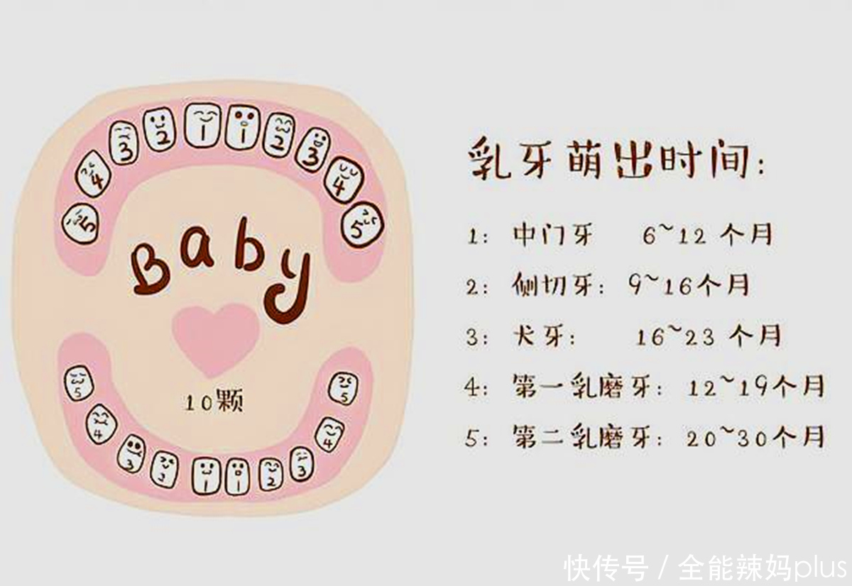 孩子|宝宝准确的出牙时间、顺序是什么? 一张图告诉你,你家娃中了没