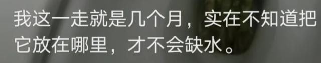 别人|“把别人的手办撞坏了，能赔得起吗？”哈哈哈下辈子注意点就行