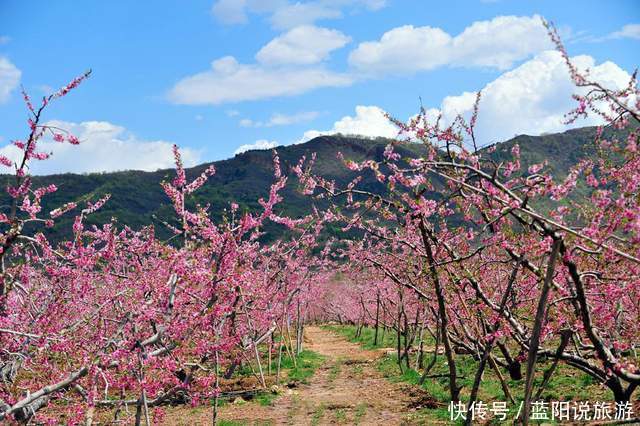 2021年春季国内赏花（二）桃花，推荐16个打卡地