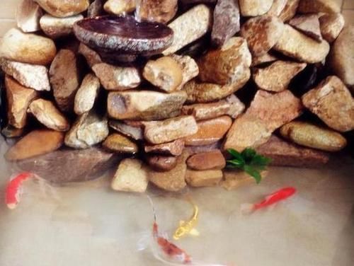 鱼池|在阳台上砌个鱼池，成本只花200元，亲戚朋友们都眼红了