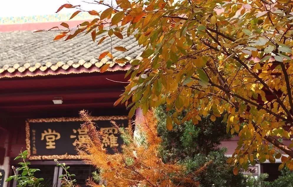 心障!鬼谷子:9句真言,教你八面玲珑,方圆处世!鬼谷子谋略