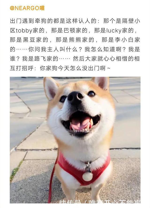 |这也太搞笑了吧