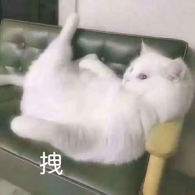 馥蕾诗|护肤品界的“秀儿们”，出圈秘诀都在这了