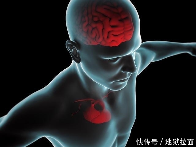  堵塞|脑血管不是突然堵塞的，3件事少做，4样东西少碰，血管不易堵死