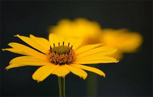 发型|中短发烫发适合什么脸型 什么发型好看