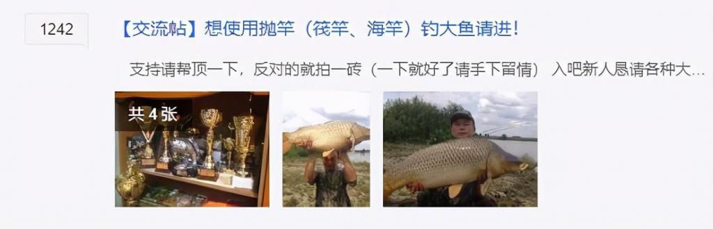 长江|长江里不止有大鱼，可能还有年仅8岁的“新鲜”iPhone4S