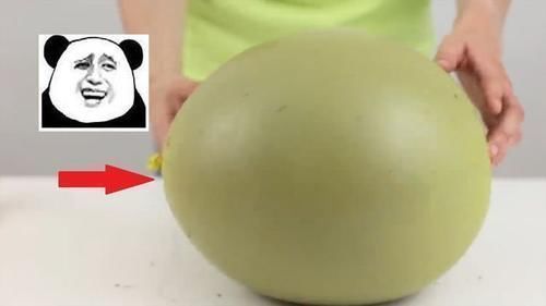 气球|用气球制造巧克力蛋,过程真的好简单在家可以尝试做一下