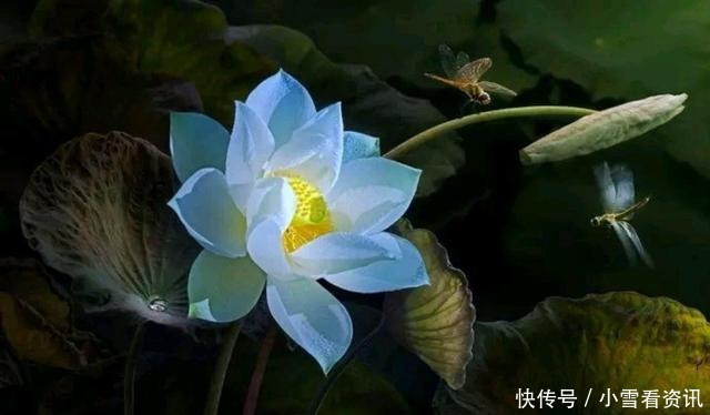 战胜|拯救世人,战胜疫情(一首赞美诗)