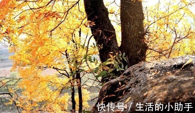 诗词&打油诗《诗写人间》悲欢离合皆尝尽,才有诗词写人间!