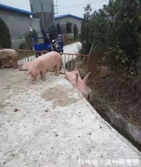 |你有哪些让人笑到肚子疼的搞笑图片