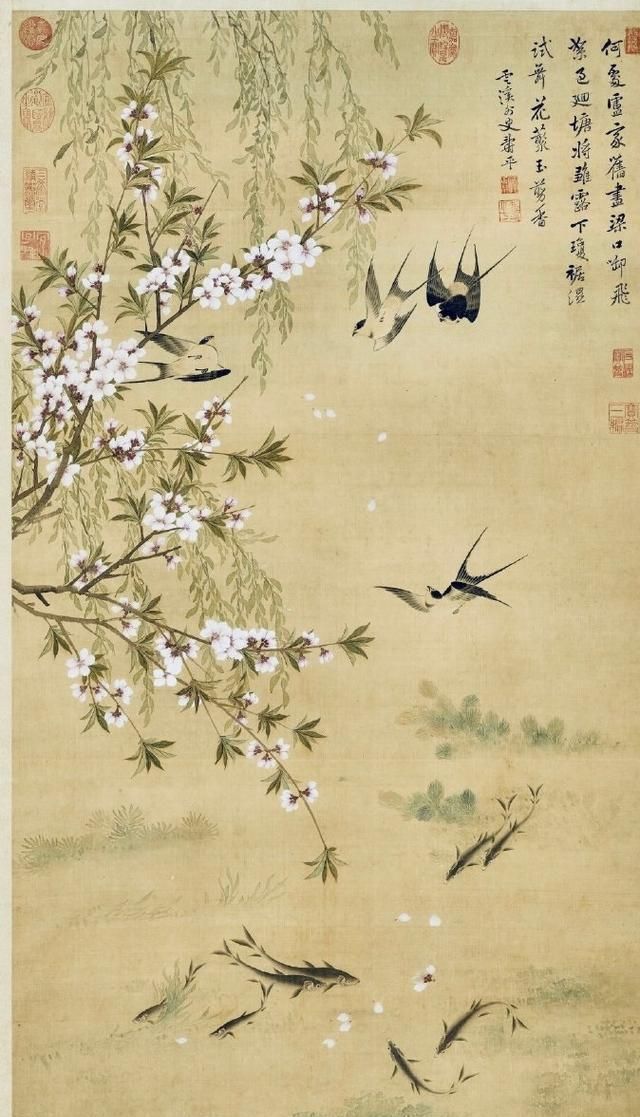 绘画#恽寿平画鱼真讲究,比齐白石画得更细腻,风格清新又典雅