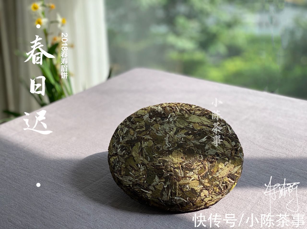 存放|日晒、微波炉、紫砂壶冲泡，民间盛传的偏方，真能拯救受潮白茶？