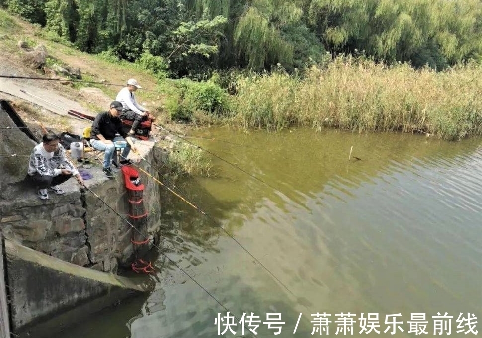 鲢鳙|秋季雨后哪几种鱼最好钓？怎样才能钓到更多的鱼？