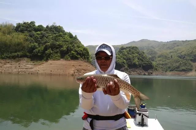 大鱼都藏在这几个窝点，下竿就能上鱼，钓鱼高手都不轻易吐露