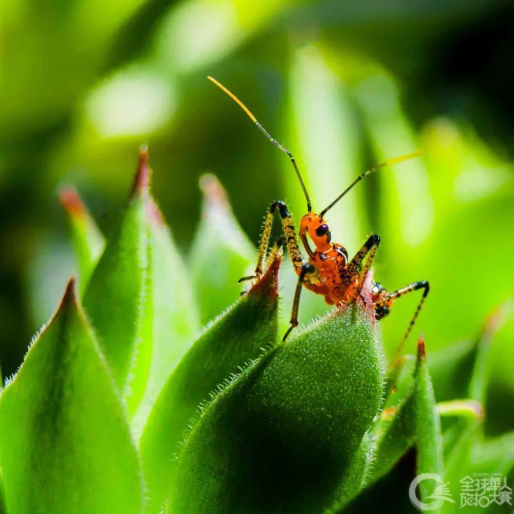 每周|香港中国旅游出版社每周精选图片（12.07-12.13/ 2020）