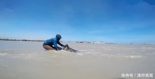 顺水|浑水中顺水捞鱼,有虾和鱼,网友:不应该逆水捞的吗?