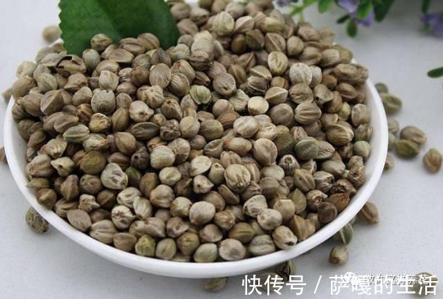 发酵|老花匠:扔4种“东西”,就是扔钱,比花肥还好用,不花钱!