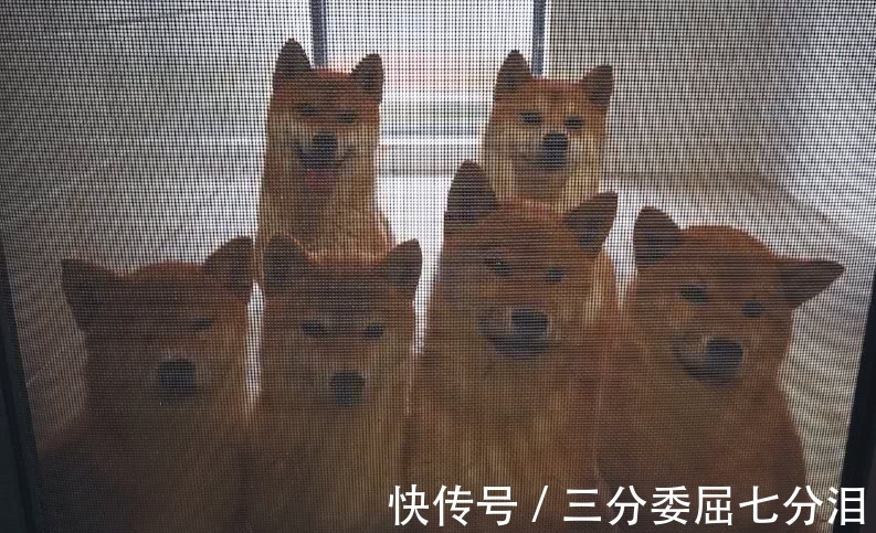 《向往的生活》路透，何炅黃磊彭昱暢進村，四位“新成員”引矚目