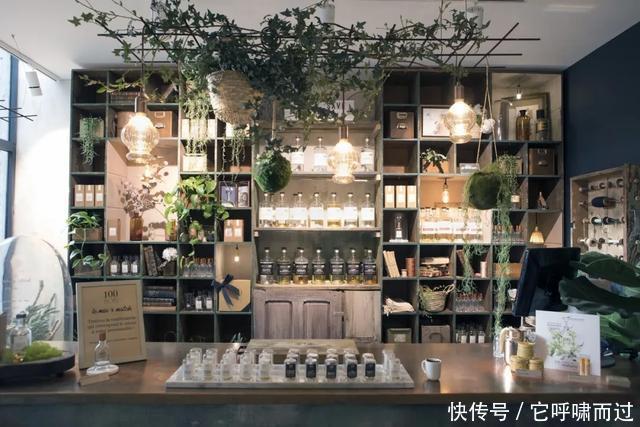 浪漫|拒绝撞香!这些小众香水让你高级又浪漫