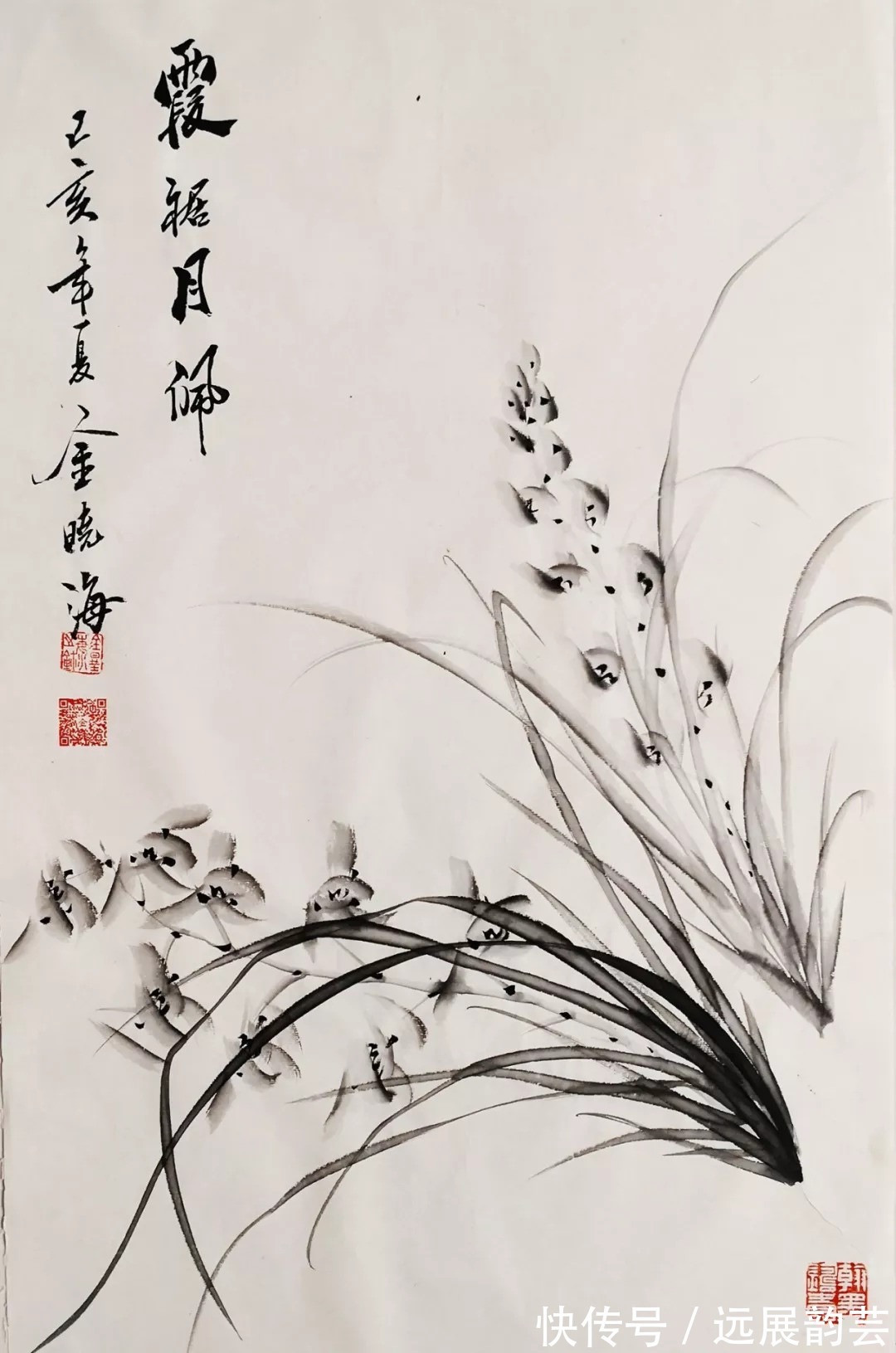 兰花#当代兰花才子——实力画家金晓海作品欣赏