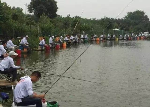 真口少,假口太多,老是不上鱼关键问题出在这里