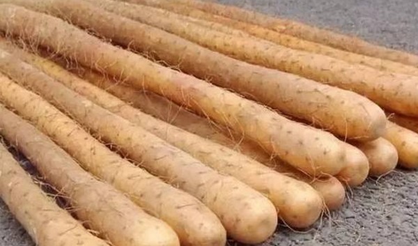 美容养颜|女人不想做黄脸婆,常吃4物,美容养颜抗衰老,越吃越年轻!