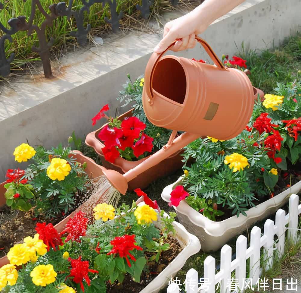 多菌灵用处大,养花离不了,防烂根黄叶,便宜又好用,养花一级棒