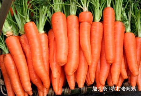 大肚子|胡萝卜与此物一起煮,大肚子没了,失眠好了,为了健康不妨试试