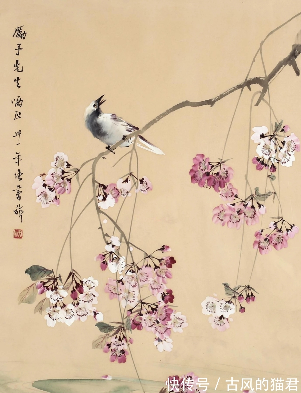 花鸟画!独特的魅力|张书旂花鸟画