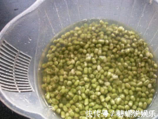 出芽率|终于找到发绿豆芽出芽率高的方法了,4天就能吃,口感脆嫩又健康